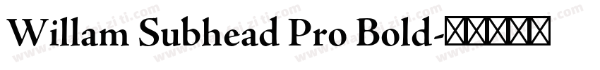 Willam Subhead Pro Bold字体转换